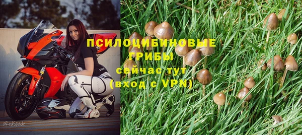 скорость Покровск